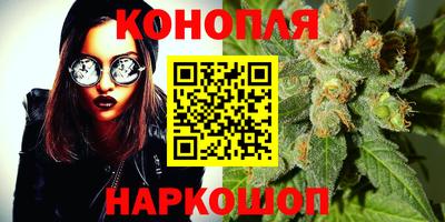 твердый Кингисепп