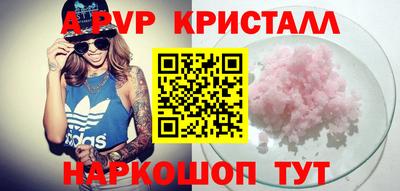 твердый Кингисепп