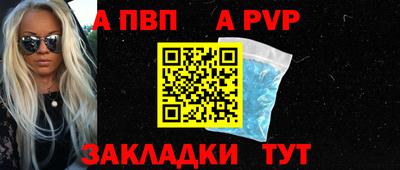 твердый Кингисепп