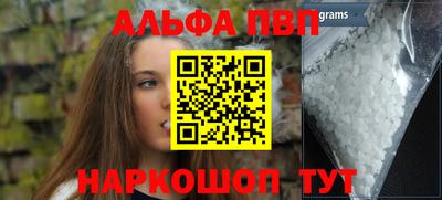 твердый Кингисепп