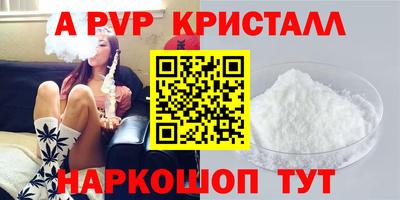 твердый Кингисепп