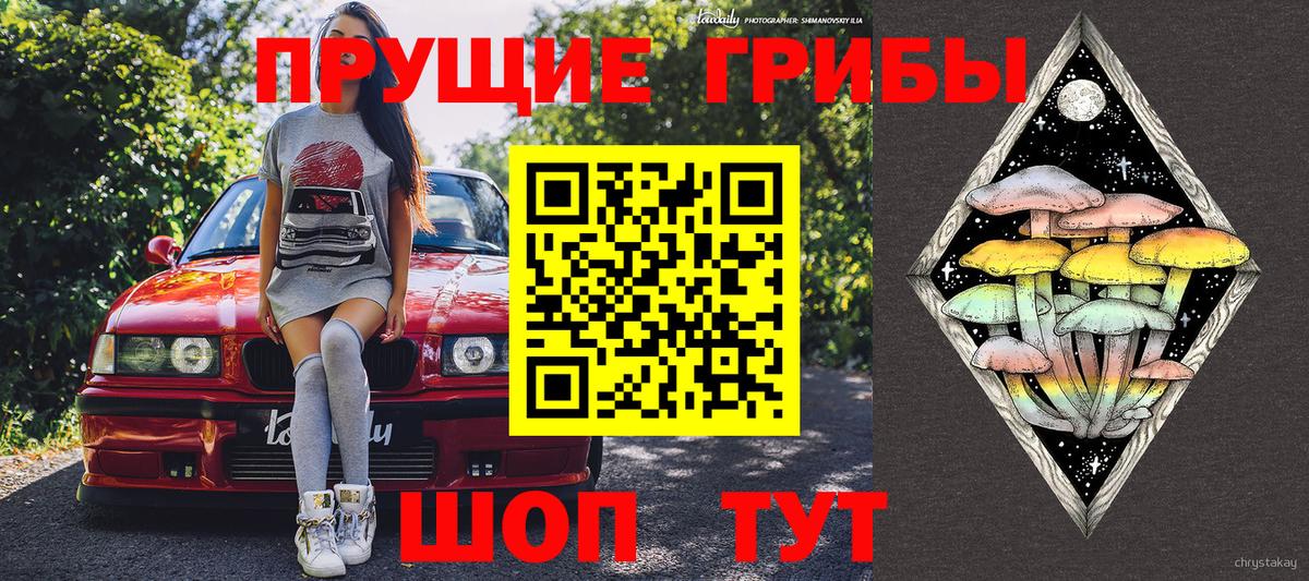 Псилоцибиновые грибы мухоморы Канск