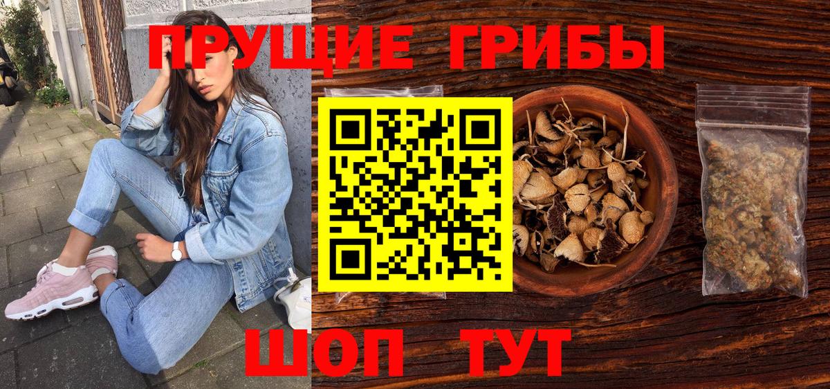 наркошоп  Псилоцибиновые грибы прущие грибы  Вход с VPN  Канск 