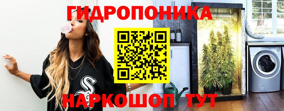 МАРИХУАНА Bruce Banner Канск